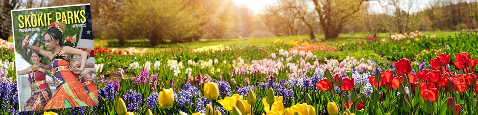 Check out your Spring Guide